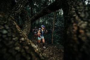 BIB: 
                            <button type="button" onclick="openModal(25676332)" class="btn btn-primary btn-sm float-right btn-popup" data-toggle="modal" data-target=".modal-high-quality">
                        <i class="fas fa-shopping-cart"></i> Add to Cart
                    </button>
                                            <button type="button" onclick="isThisMe(25676332, true)" class="btn btn-success btn-sm float-right btn-popup btn-isme hidden" data-toggle="tooltip" data-placement="bottom" title="นี่คือรูปของคุณใช่ไหม คลิกที่นี่เพื่อเอาเข้าอัลบั้ม">
                        <i class="fas fa-plus"></i> Add to album
                    </button>
                    <button type="button" onclick="isThisMe(25676332, false)" class="btn btn-warning btn-sm float-right btn-popup btn-isnotme hidden">
                        <i class="fas fa-ban"></i> Remove from album
                    </button>